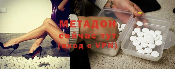 мдпв Ельня