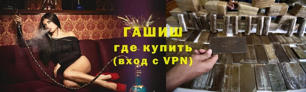 мдпв Ельня