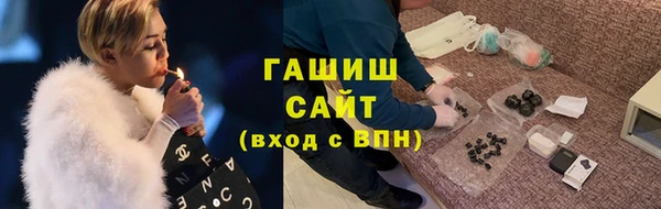 мдпв Ельня