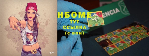 мдпв Ельня