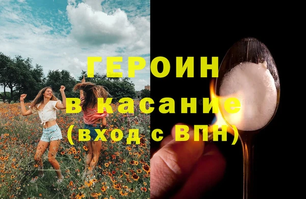 мдпв Ельня
