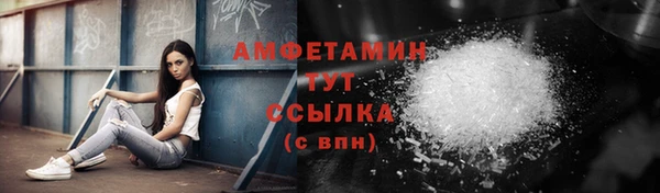 мдпв Ельня