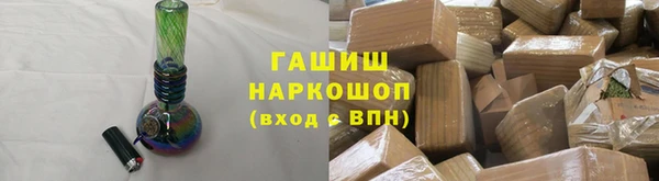 мдпв Ельня