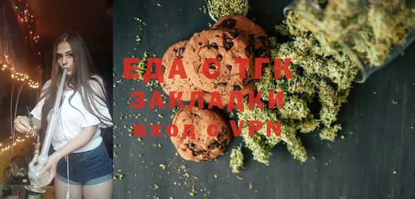 мдпв Ельня