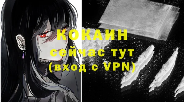 мдпв Ельня