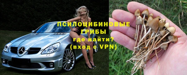 амфетамин Елизово