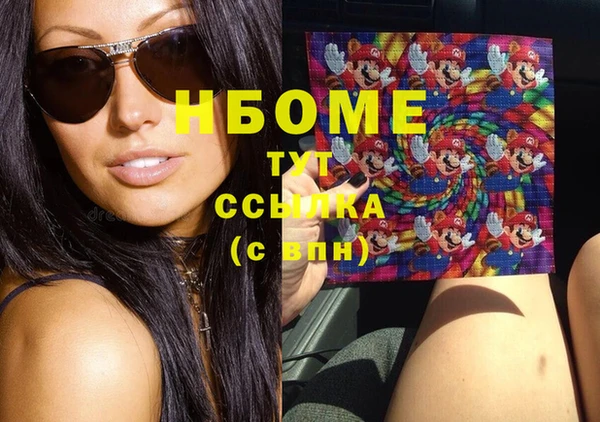 мдпв Ельня