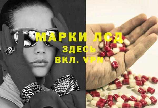 мдпв Ельня
