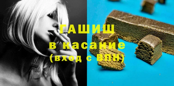 мдпв Ельня