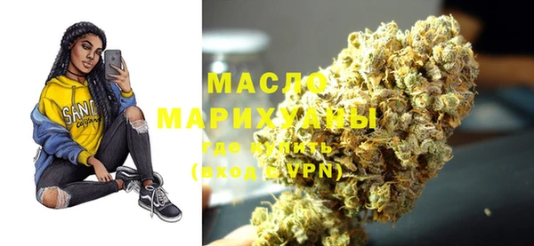 мдпв Ельня