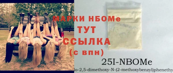 мдпв Ельня