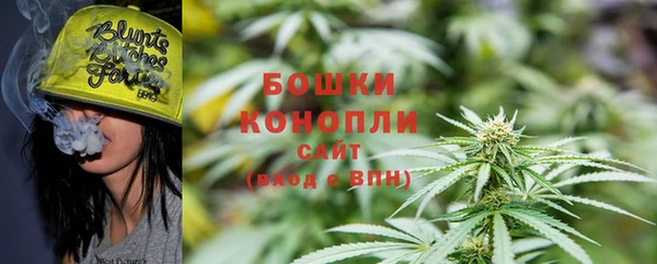 мдпв Ельня