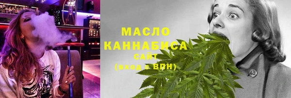 мдпв Ельня