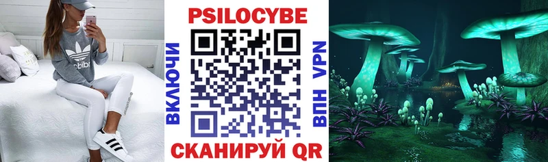 Купить где  Кулебаки  Псилоцибиновые грибы MAGIC MUSHROOMS 